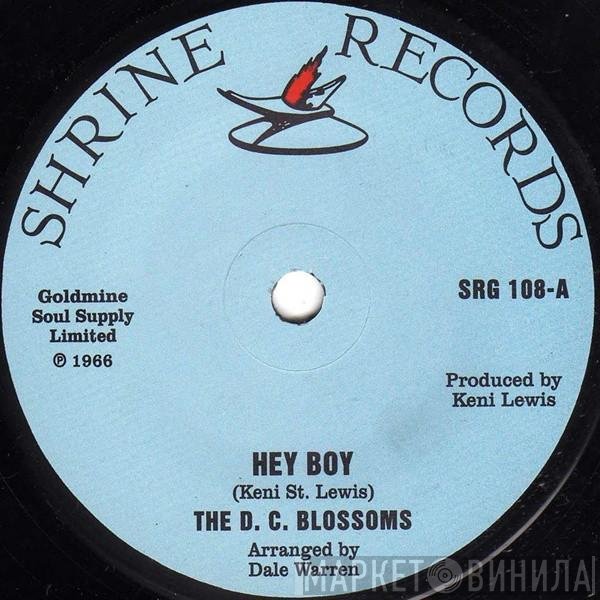 The DC Blossoms - Hey Boy