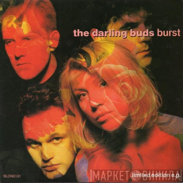 The Darling Buds - Burst