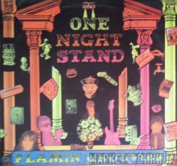 The Flamin' Groovies  - One Night Stand