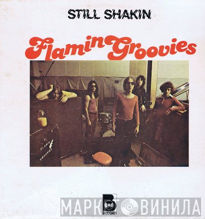 The Flamin' Groovies - Still Shakin