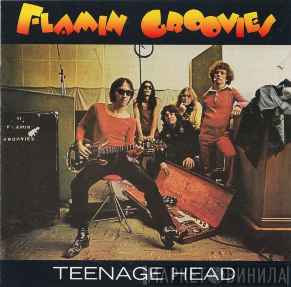 The Flamin' Groovies - Teenage Head