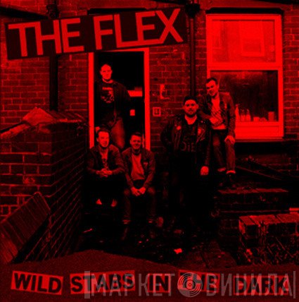 The Flex  - Wild Stabs In The Dark