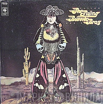 The Flying Burrito Bros - Flying Again