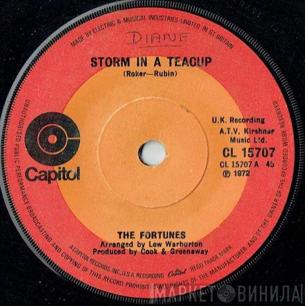 The Fortunes - Storm In A Teacup
