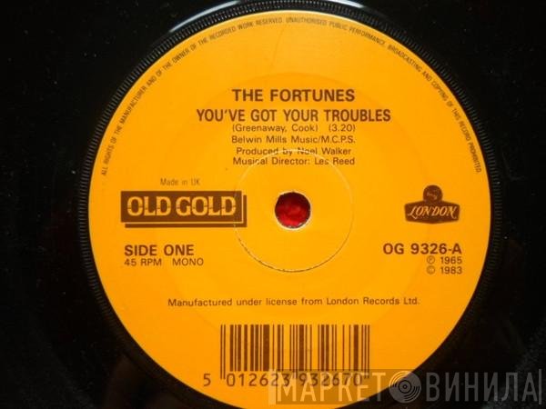 The Fortunes - You've Got Your Troubles