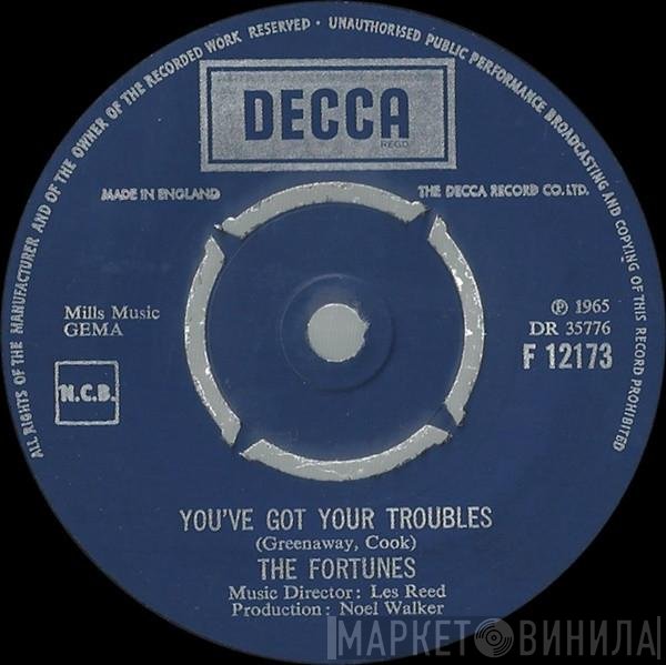 The Fortunes - You've Got Your Troubles