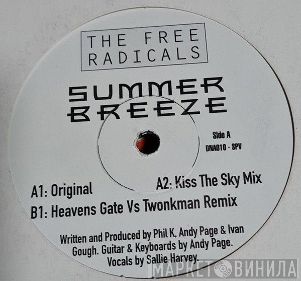 The Free Radicals - Summer Breeze