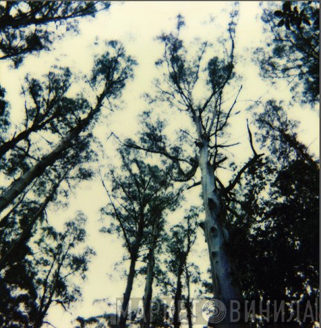 The Frightening Lights - Untitled