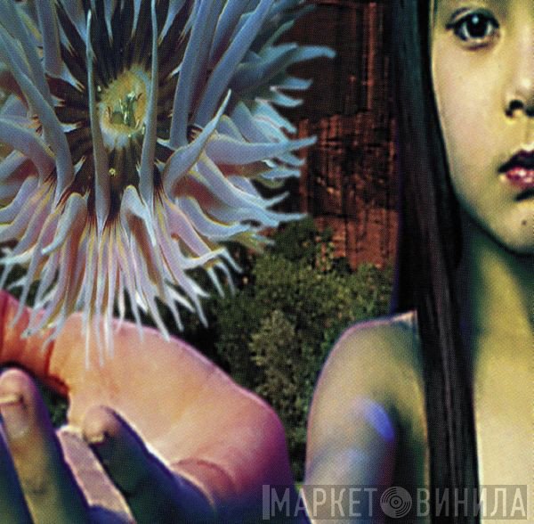 The Future Sound Of London  - Lifeforms