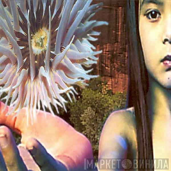 The Future Sound Of London  - Lifeforms