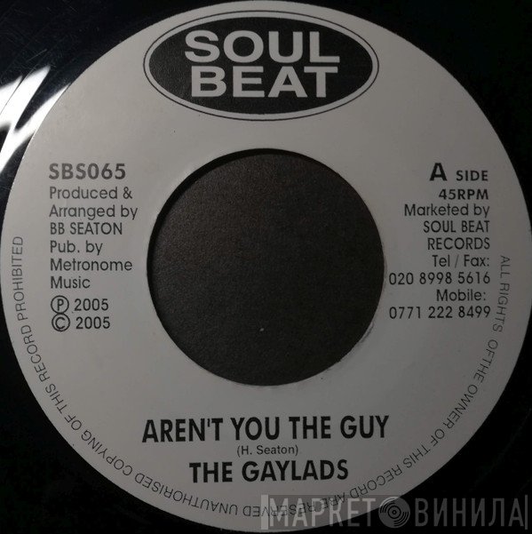 The Gaylads - Aren't You The Guy