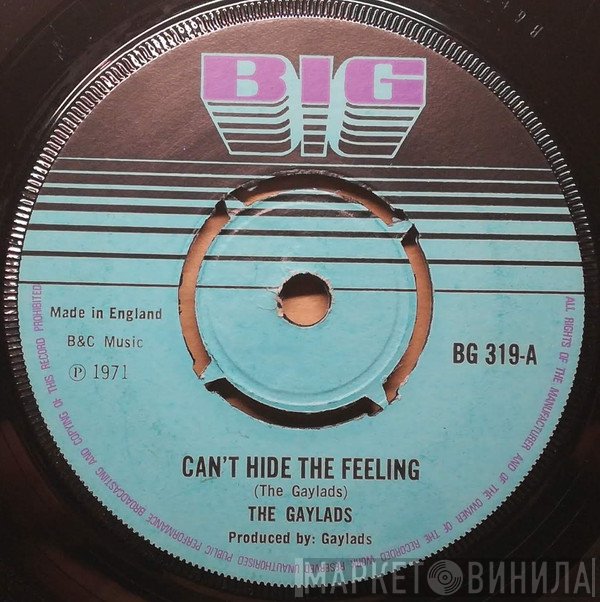 The Gaylads - Can't Hide The Feeling