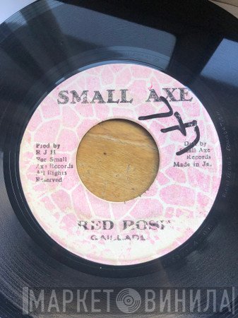 The Gaylads - Red Rose