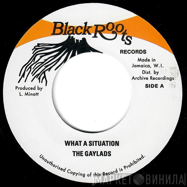 The Gaylads - What A Situation