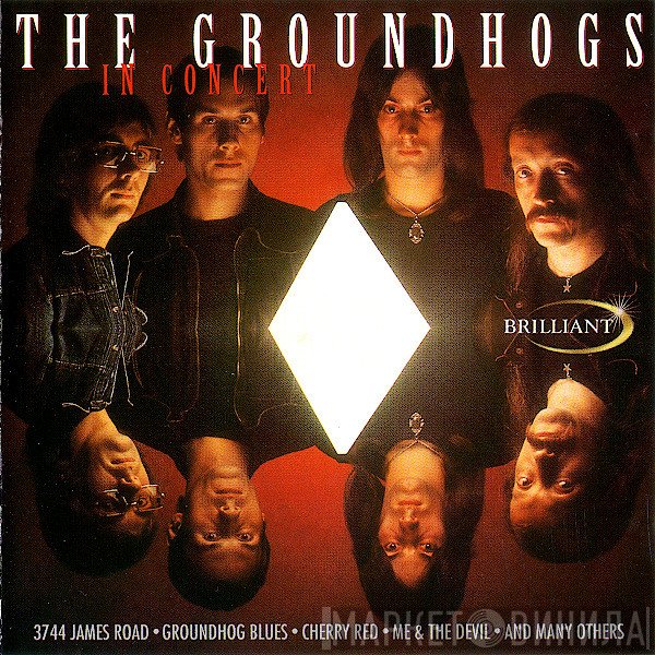 The Groundhogs  - The Groundhogs In Concert