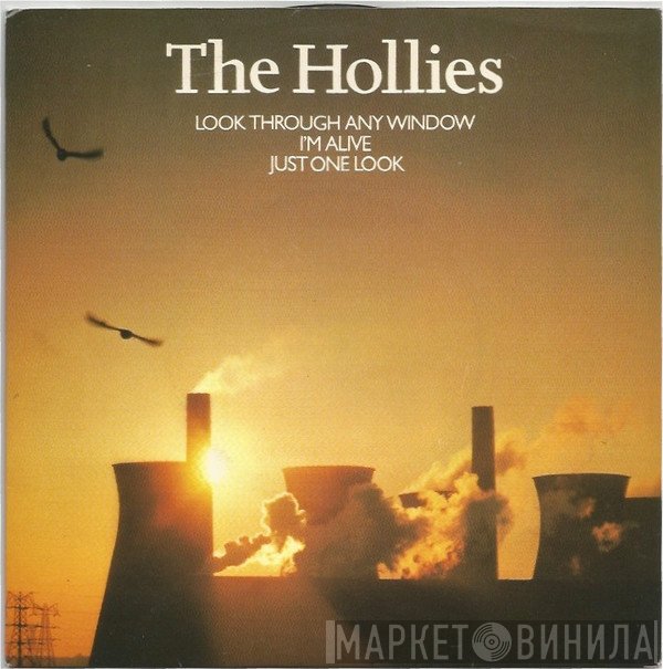 The Hollies  - Look Through Any Window
