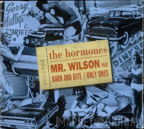 The Hormones - Mr. Wilson