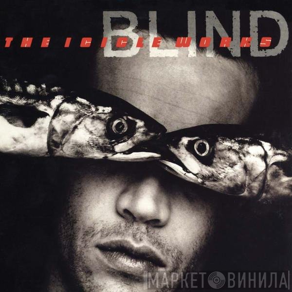 The Icicle Works  - Blind