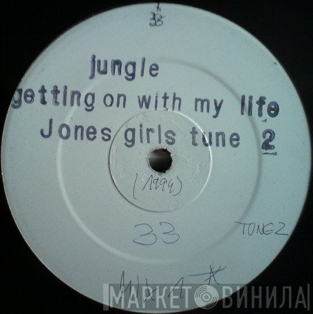The Jones Girls - Gettin On With Jungle