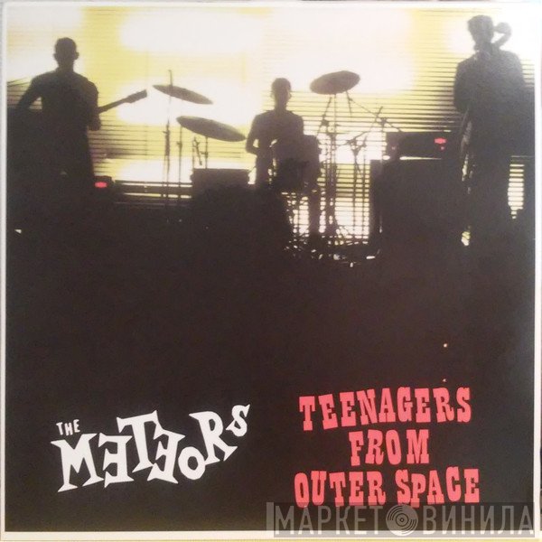 The Meteors  - Teenagers From Outer Space