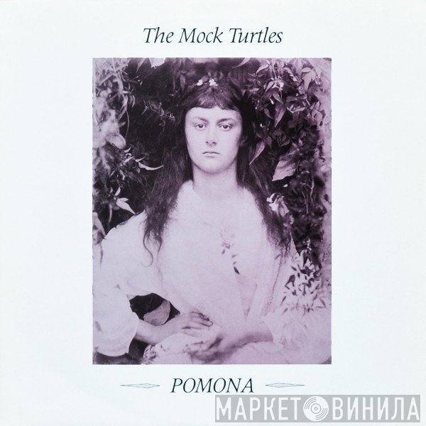 The Mock Turtles - Pomona