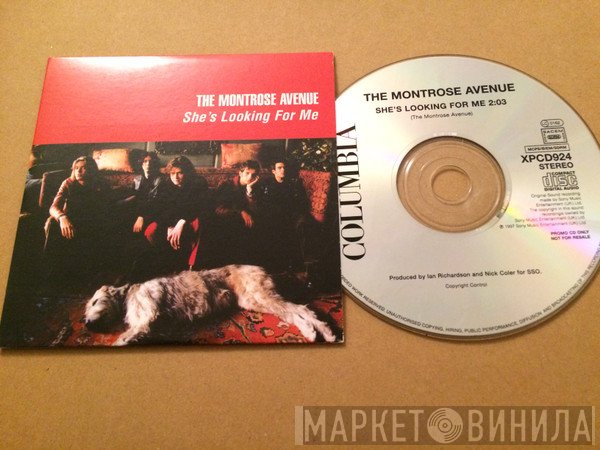The Montrose Avenue - She's Looking For Me