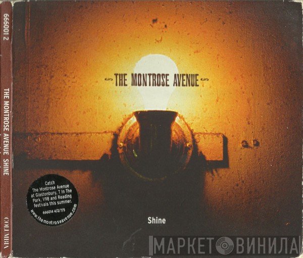 The Montrose Avenue - Shine