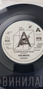 The Move - Flowers In The Rain