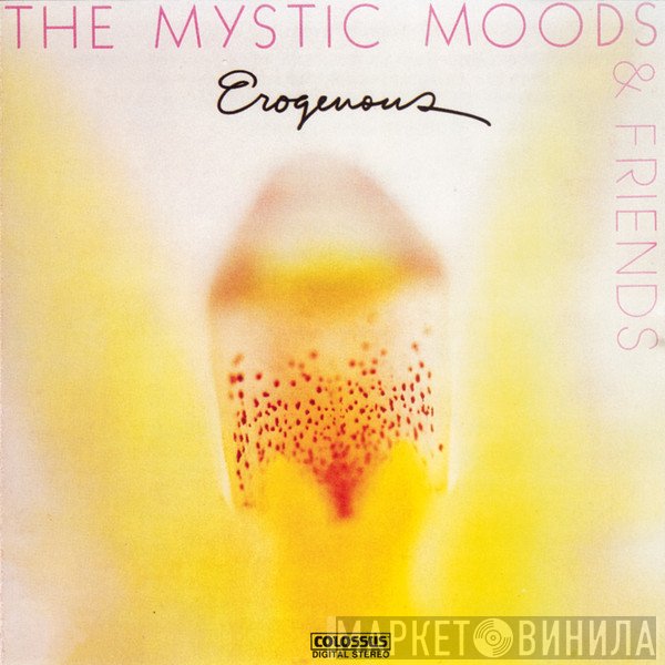 The Mystic Moods Orchestra  - Erogenous