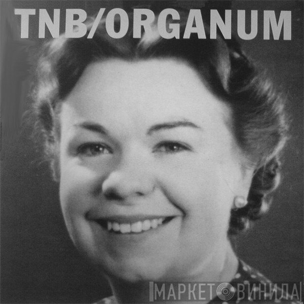 The New Blockaders / Organum  - Der Graben