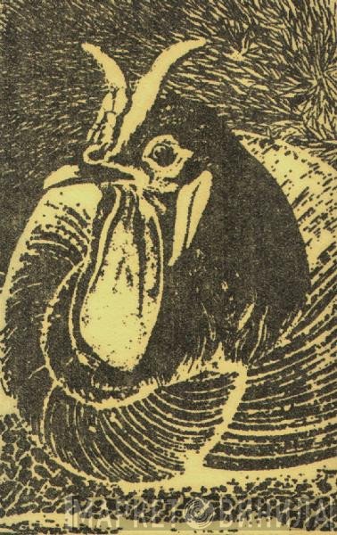 The New Blockaders / Organum  - Salute