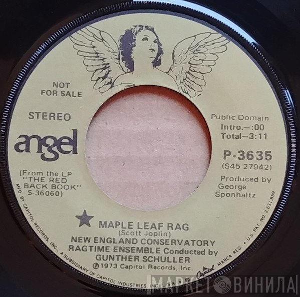 The New England Conservatory Ragtime Ensemble  - Maple Leaf Rag