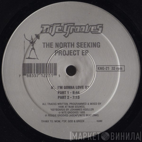 The North Seeking Project - The North Seeking Project EP