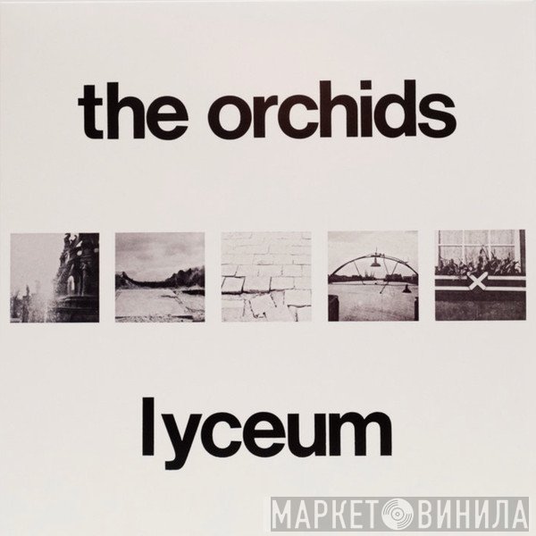The Orchids  - Lyceum