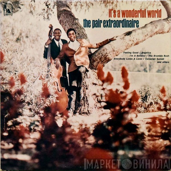 The Pair Extraordinaire - It's A Wonderful World