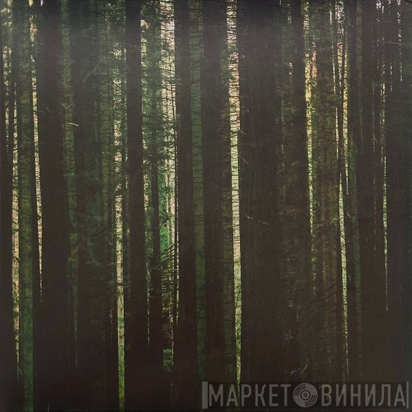 The Paper Kites - Evergreen