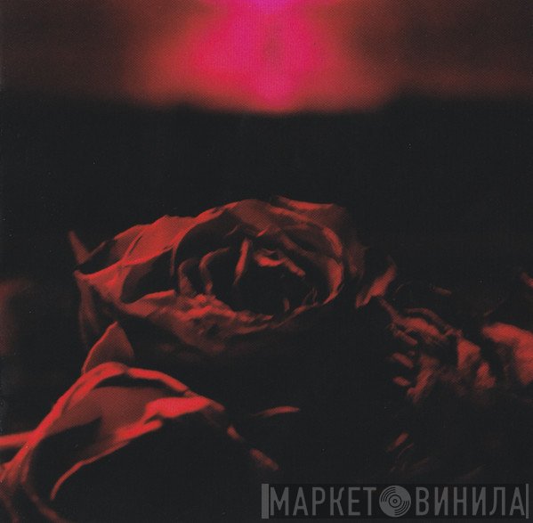 The Paper Kites  - Roses