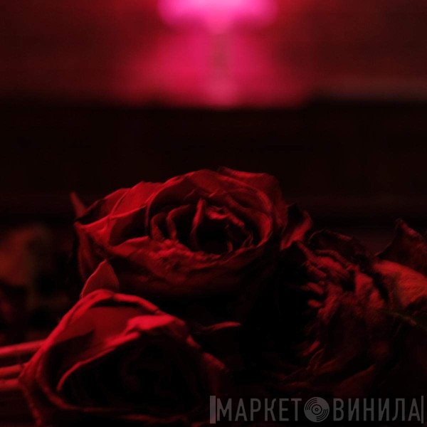 The Paper Kites  - Roses