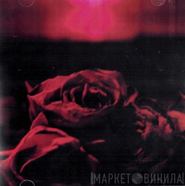 The Paper Kites  - Roses