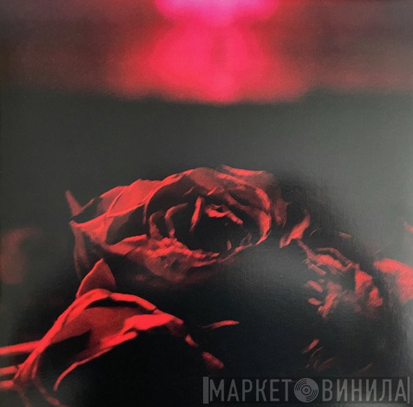 The Paper Kites  - Roses