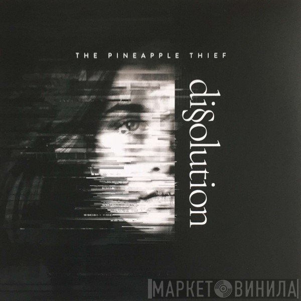 The Pineapple Thief - Dissolution