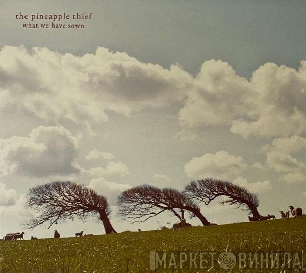 The Pineapple Thief - What We Have Sown