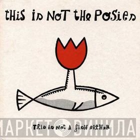 The Posies - This Is Not The Posies