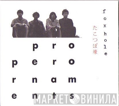 The Proper Ornaments - Foxhole