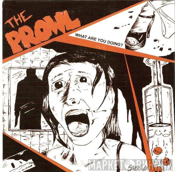 The Prowl - What Are You Doing?