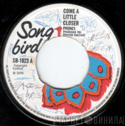 The Prunes  - Come A Little Closer