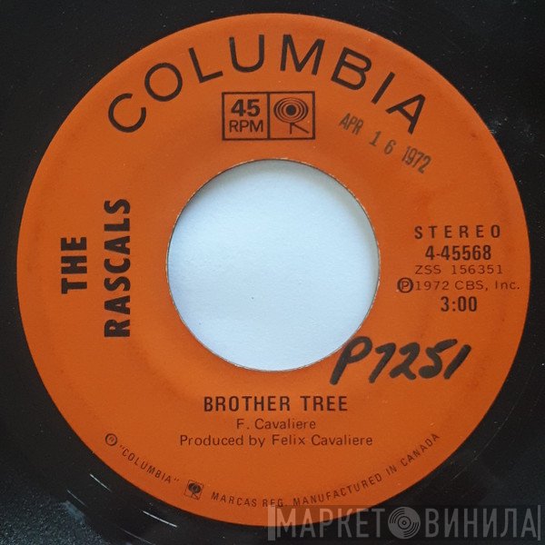 The Rascals  - Brother Tree