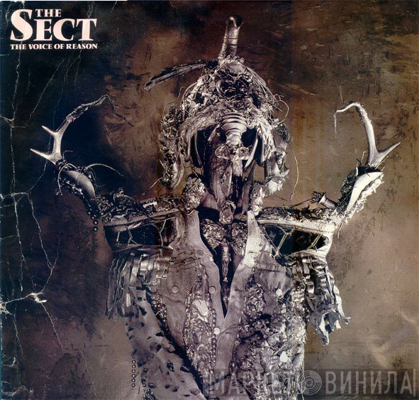 The Sect - The Voice Of Reason