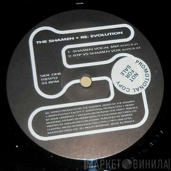 The Shamen With Terence McKenna  - Re: Evolution