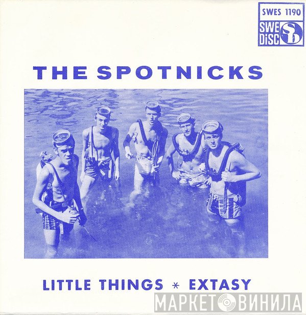 The Spotnicks  - Little Things